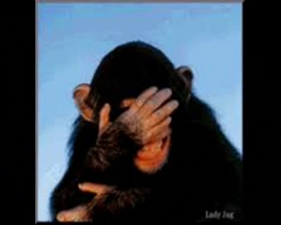 Chanson FAUT RIGOLER