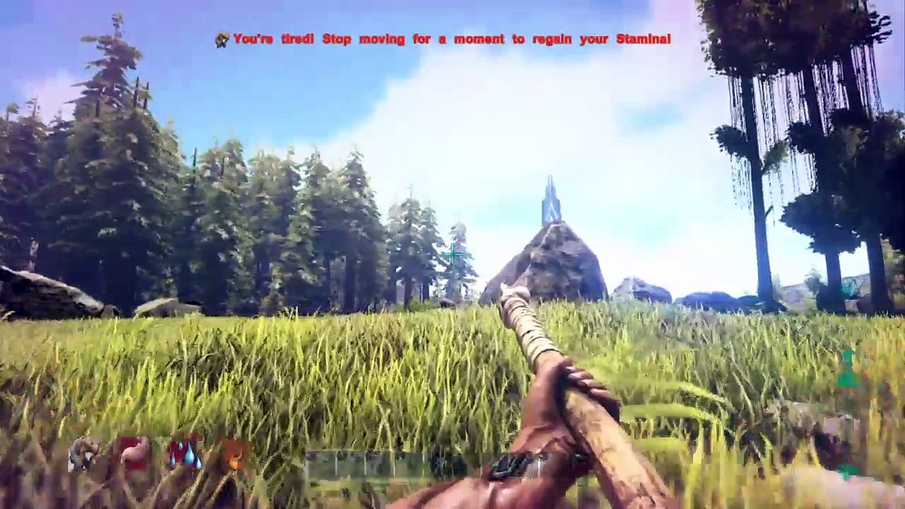 Ark (17)