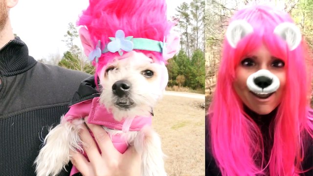 Trolls Puppy Makeo (Poppy, Branch, Guy Diamond) Dreamworks New Moe