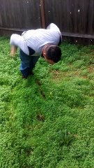 Huge challenge clapping push ups