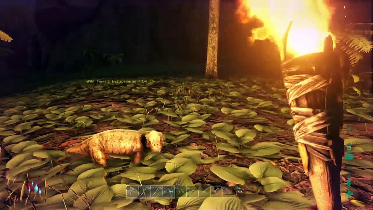 Ark (19)