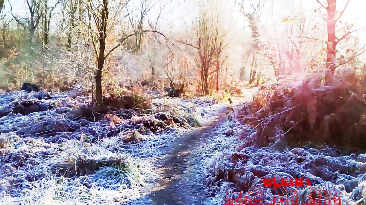 Eine Zeit HD Marko-M (Official Video)