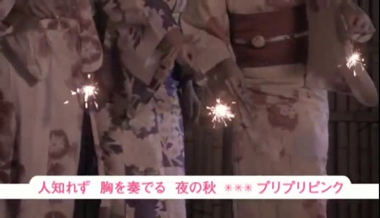 プリプリピンク 人知れず 胸を奏でる 夜の秋 動画 Dailymotion