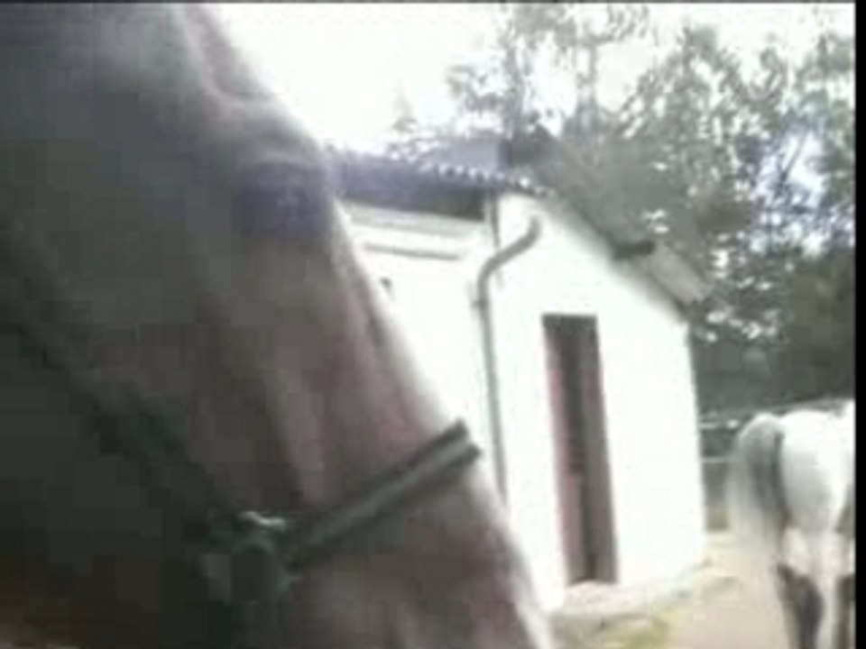 Championnats 2007 partie 2