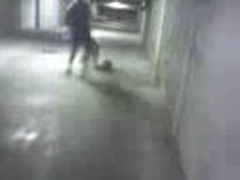 Moii vs mOn Best pOtO