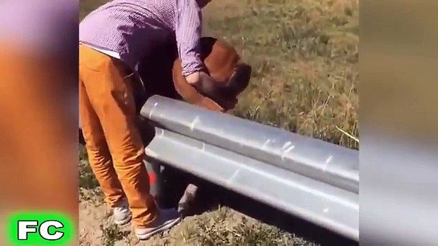 Videos WhatsApp, THE BEST Vídeos for WhatsApp 2016 - Funny WhatsApp Fails (36)