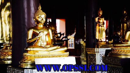 선릉 OPSS1(닷컴) 선릉