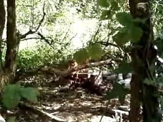 Feu+deo ,deuxieme angle de vue