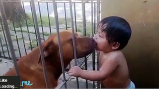 Puppies Cute. Babies Adorable. Puppies AND babies Funny Videos