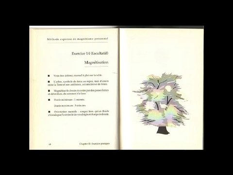 Etudes pour comprendre les pratiques du magnétiseur guérisseur