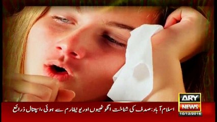 What Causes a Cold or the Flu?