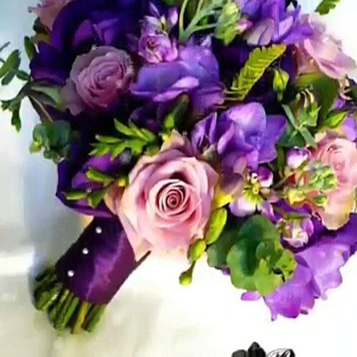 video-1454186541