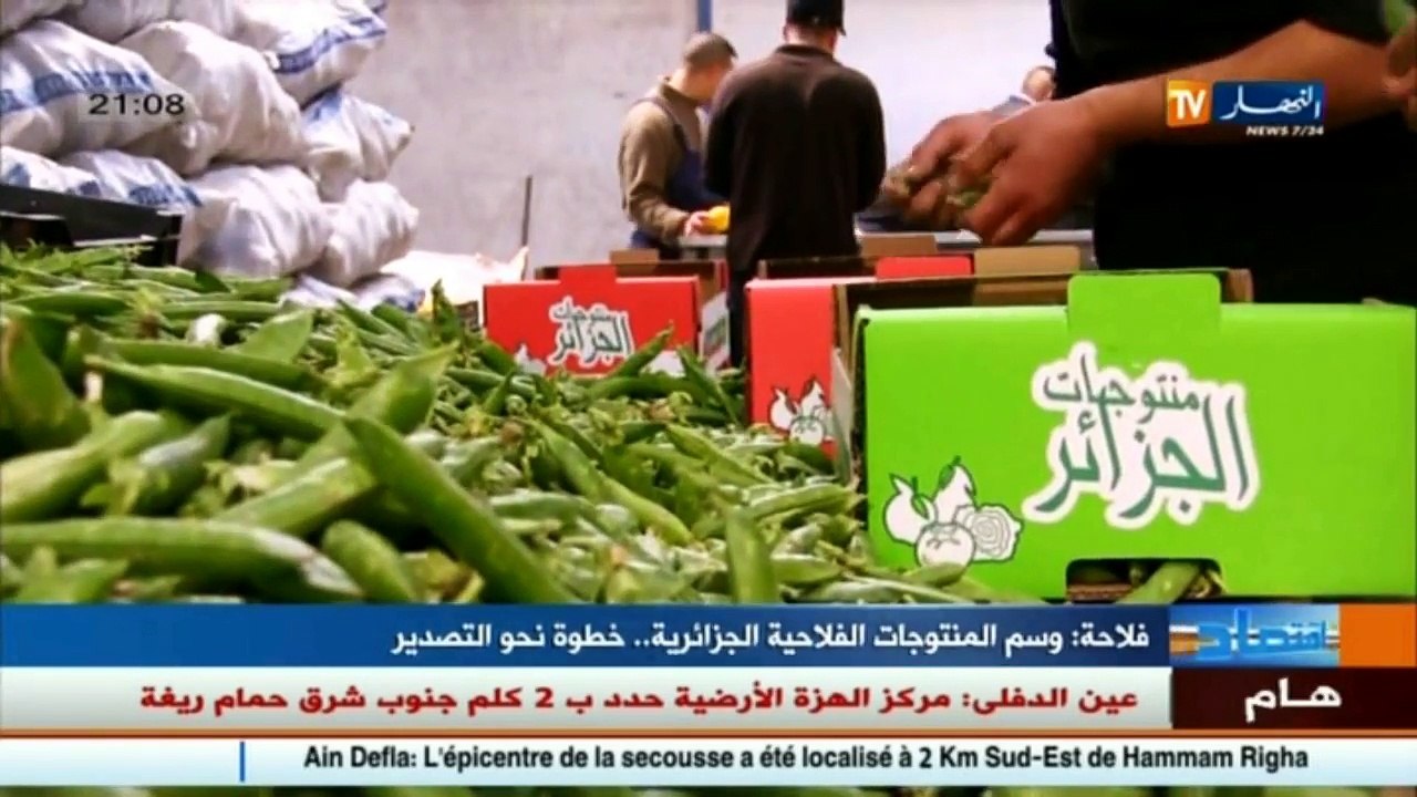 فلاحة  هكذا تستعد الجزائر لتصدير المنتجات الفلاحية نحو الخارج