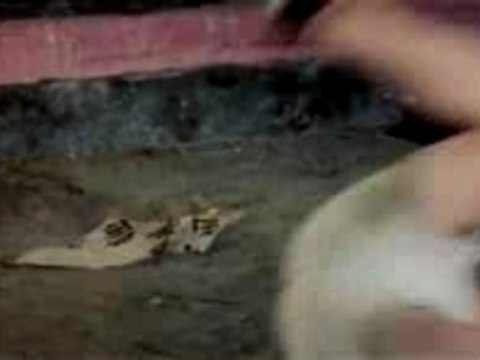 Bande-annonce Drunken Master - Woo-ping Yuen