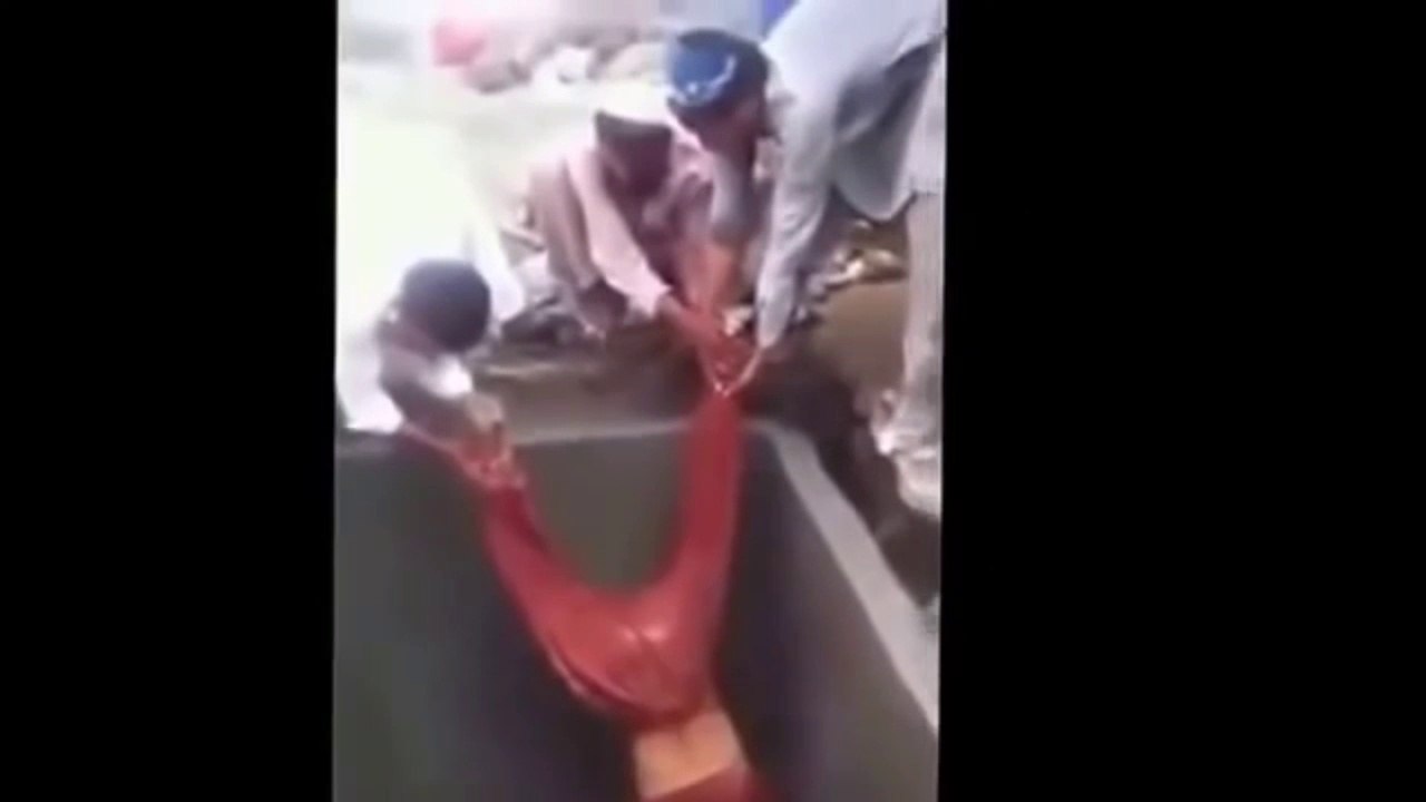 funny indian videos 2017