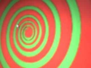 CLIP0047