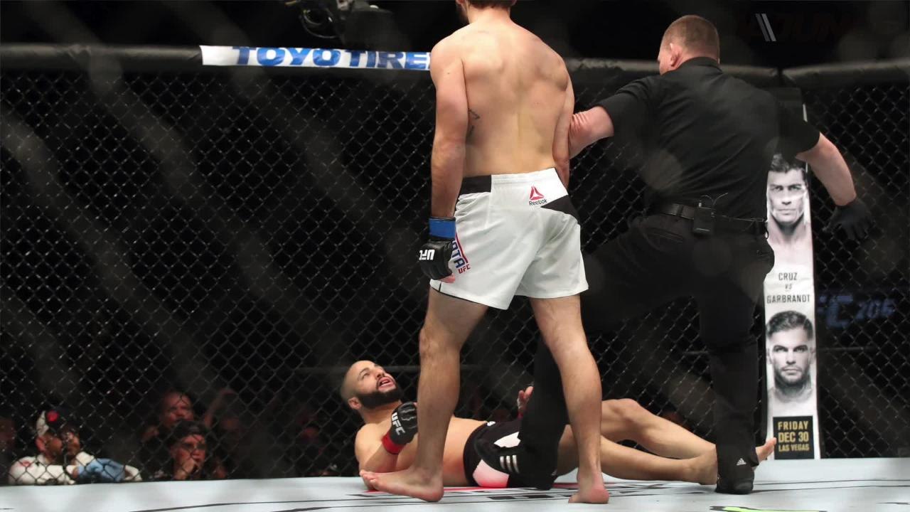 Lando Vannata makes statement with UFC 206 kick even prettier than Edson Barboza's famous KO