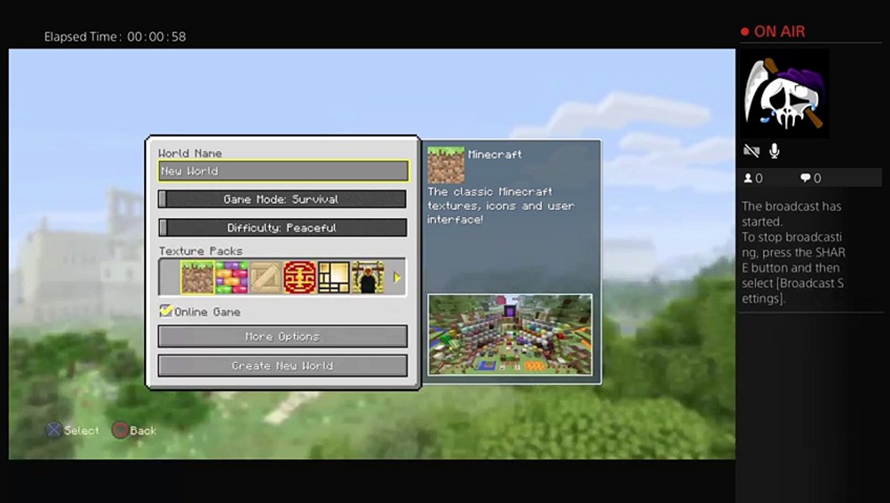 Minecraft mayhem (2)