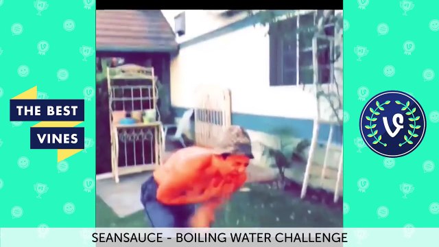 Viral Challenges Gone Wrong 2016 Weekly Compilation