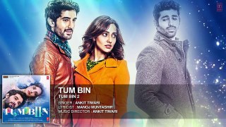 Tum Bin Full Song (Audio) Ankit Tiwari | Tum Bin 2