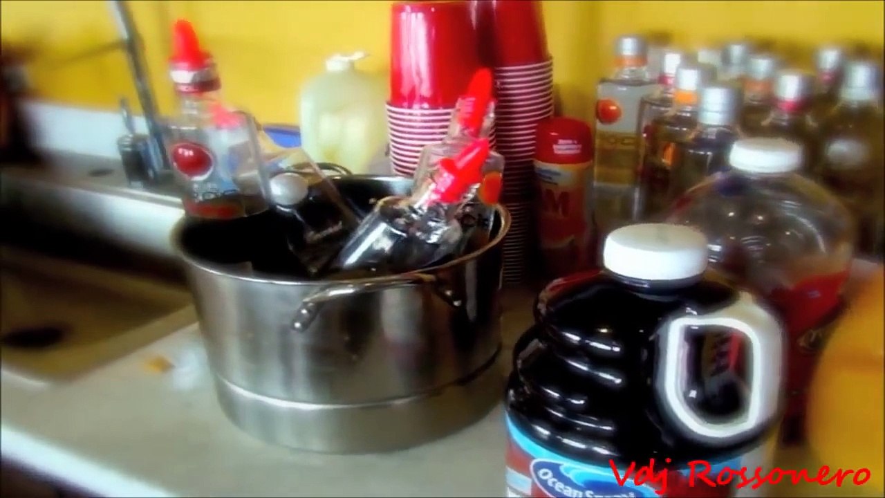 who let the dogs out-andy light