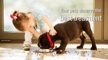 Pets-Delight.Com - Providing the Best Pet Food and Supplies for All Types of Your Favorite Animals