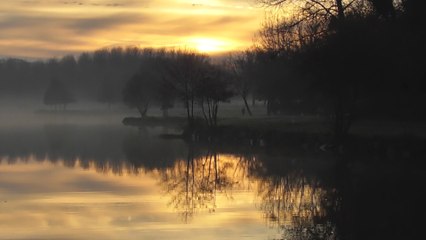 Sortie du 7 décembre 2016