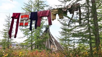 Дыхание тундры