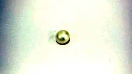 C2 Pearl Moti 2.83 Carat | +91 022 24157317 / +91-9769207984