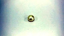 C6 Pearl Moti 2.93 Carat | +91 022 24157317 | +91-9769207984