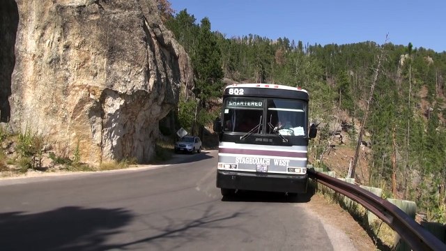 Bus fährt durch den Tunnel am Needles Highway