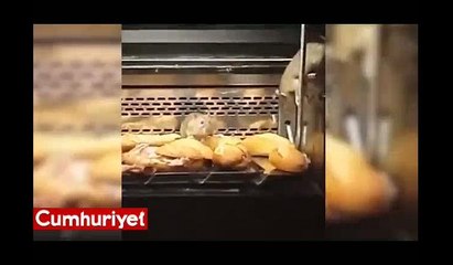 Kafeterya mide bulandıran görüntü! Fareler yiyeceklerin üzerinde...