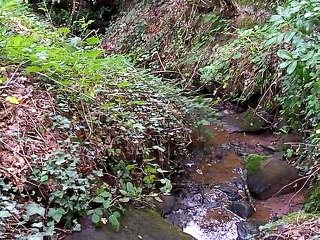 Fontaine de jouvence