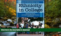 Hardcover Ethnicity in College: Advancing Theory and Improving Diversity Practices on Campus On Book