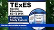 Hardcover TExES Special Education EC-12 (161) Flashcard Study System: TExES Test Practice