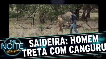 Saideira da Noite: Canguru estrangula cão e homem dá golpe de boxe