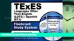 Read Book TExES Languages Other Than English (LOTE) - Spanish (613) Flashcard Study System: TExES