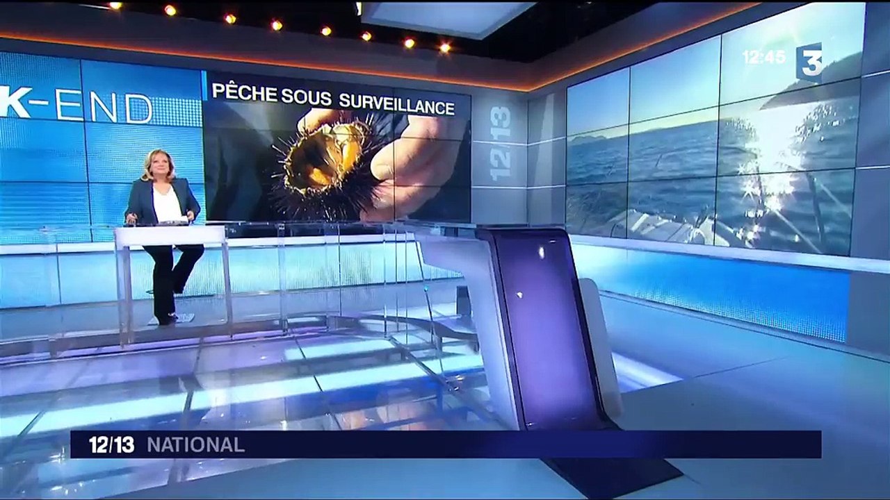 Var : la pêche aux oursins sous surveillance