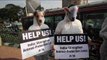 Animalistas indios piden al gobierno que refuerce las leyes de proteccción animal