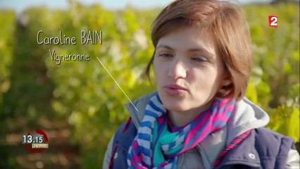 "13h15". Vin naturel : les secrets d'un vigneron biodynamique