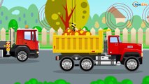 Construction Trucks: The Crane And Cars - Cars & Trucks Cartoon for kids