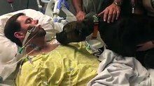 Ce chien fait ses derniers adieux à son maître. Touchant !