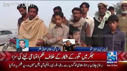 Punjab Police In Action Against Bhakkar's Lawyer Who Got Stay Order Against Houbara Hunting
