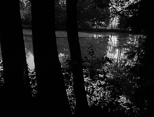 Der Kommissar  E65 - Sommerpension