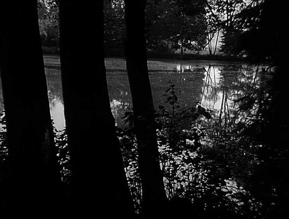 Der Kommissar  E65 - Sommerpension