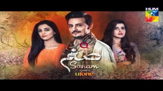 Sanam Episode 12 Promo HD HUM TV Drama 21 November 2016