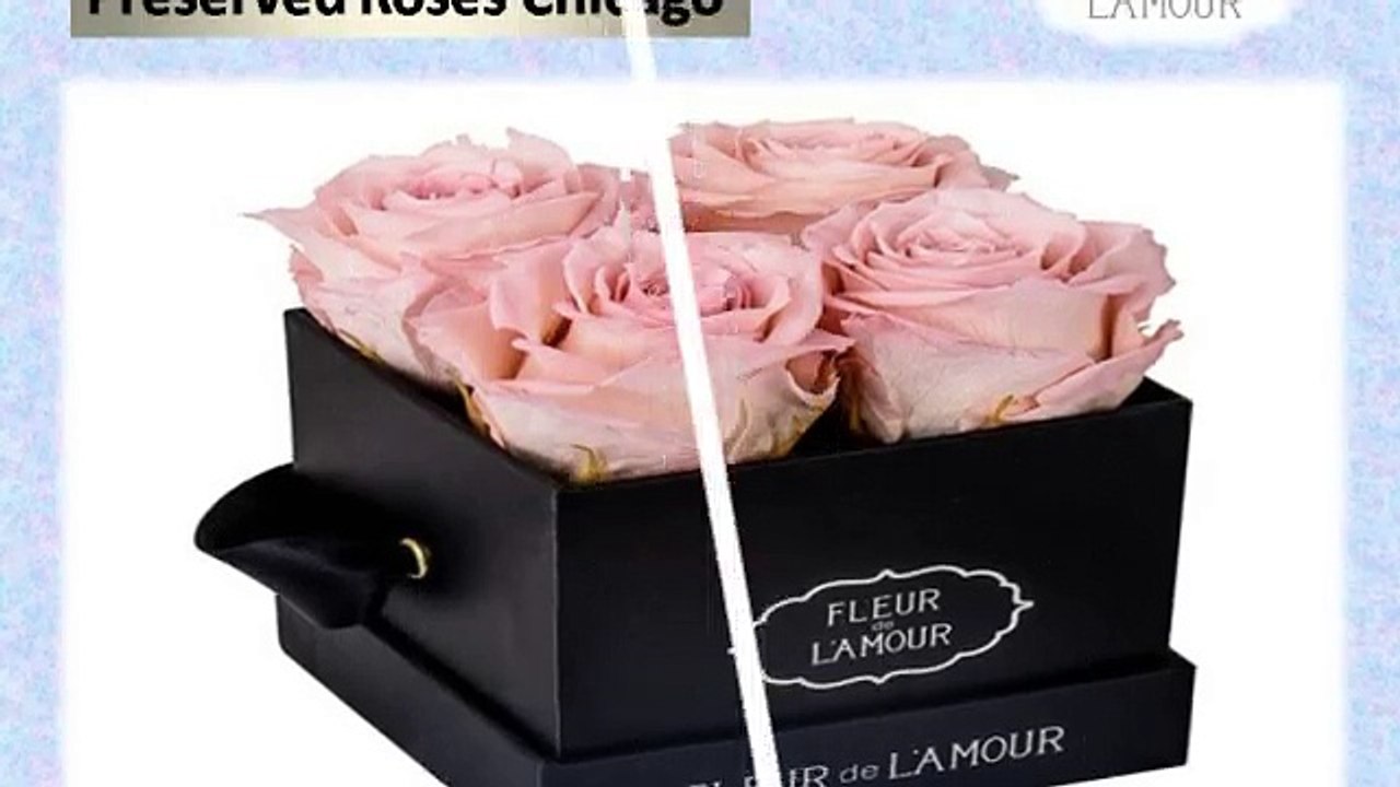 Preserved roses Chicago