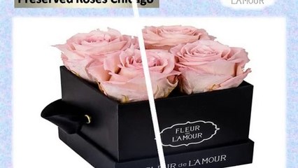 Preserved roses Chicago