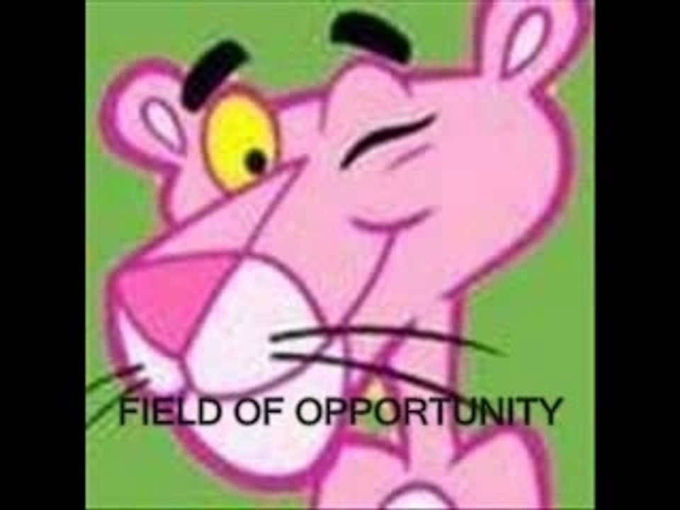 Neil Young - Field Of Opportunity