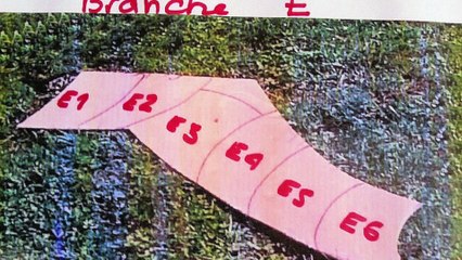 Cuse-Bas-Relief céramique